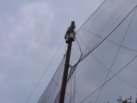 防球ネット補修工事 施工写真2