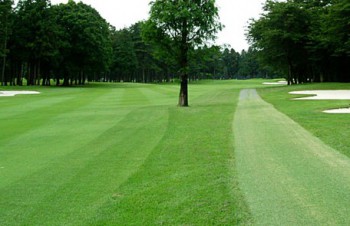 アストロターフ 施工イメージ1