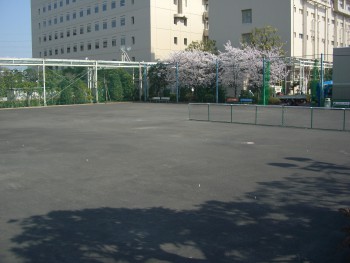 見違えるほどに綺麗になります。